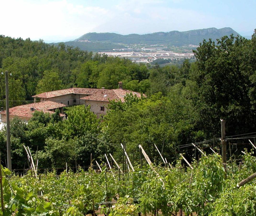 Agriturismo Ca' Verde SantʼAmbrogio di Valpolicella Kültér fotó