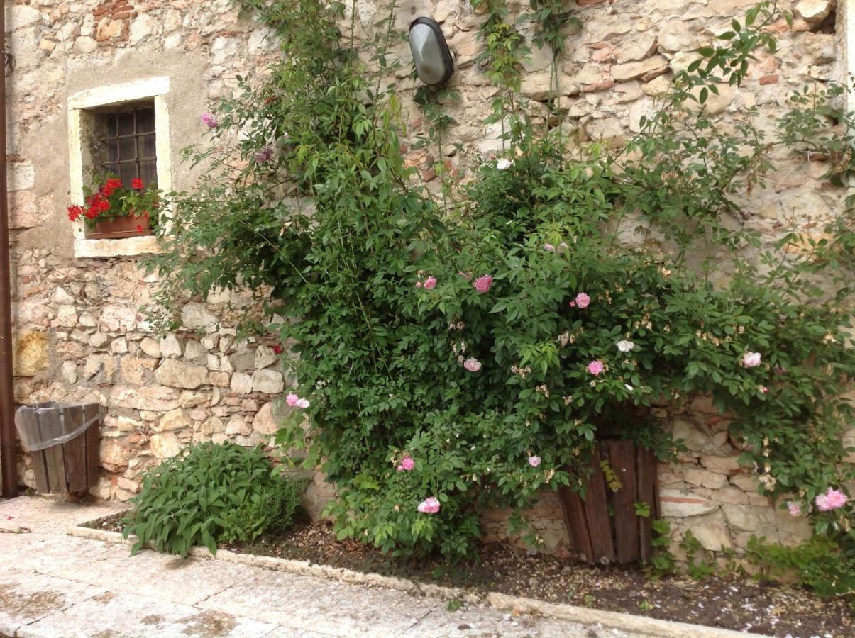 Agriturismo Ca' Verde SantʼAmbrogio di Valpolicella Kültér fotó