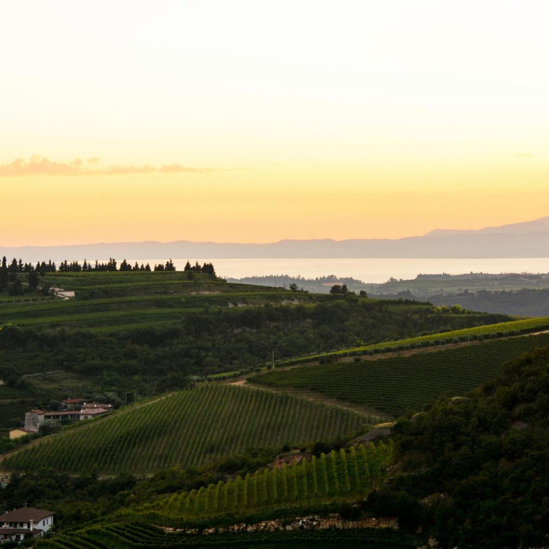 Agriturismo Ca' Verde SantʼAmbrogio di Valpolicella Kültér fotó