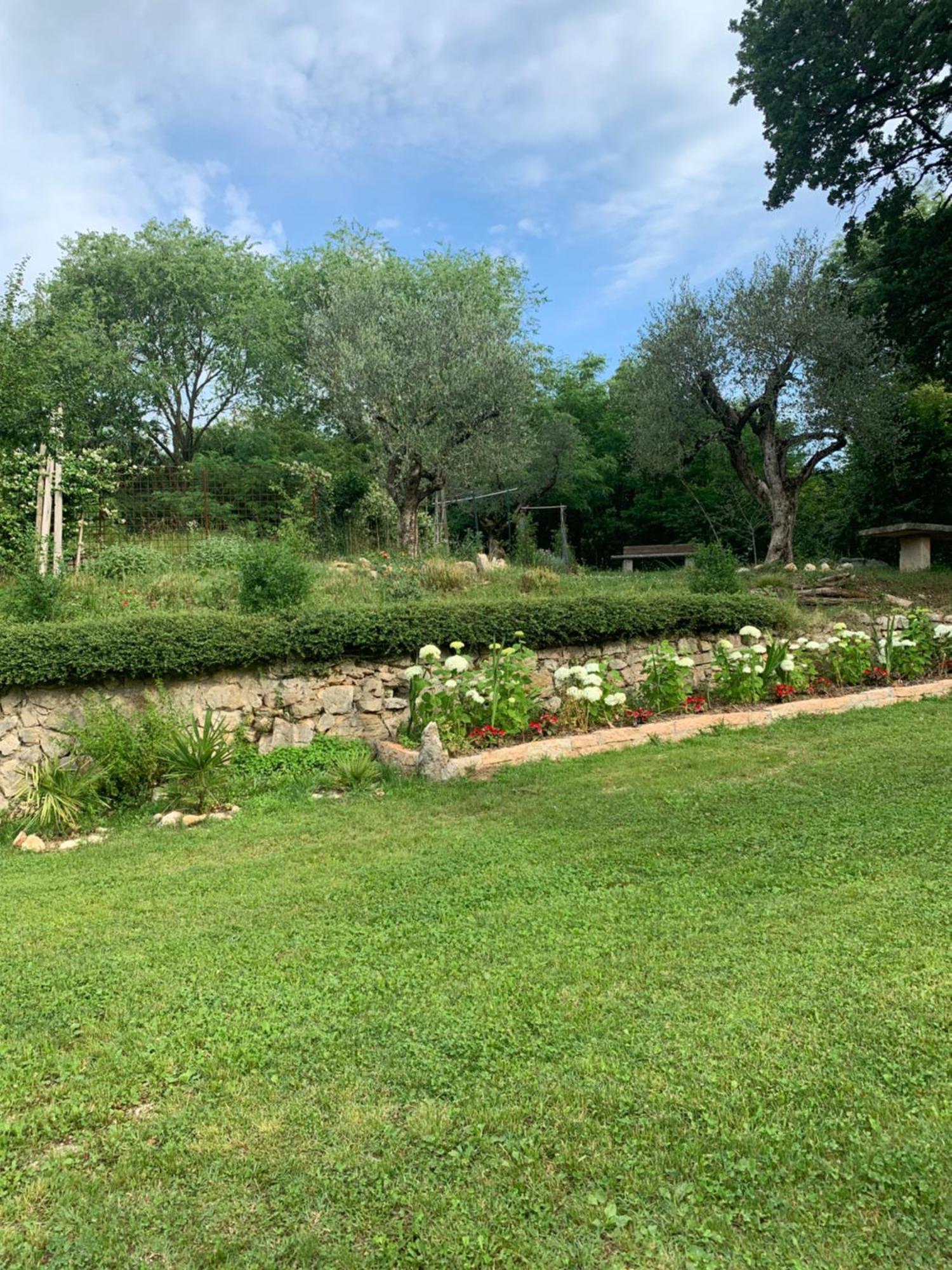 Agriturismo Ca' Verde SantʼAmbrogio di Valpolicella Kültér fotó