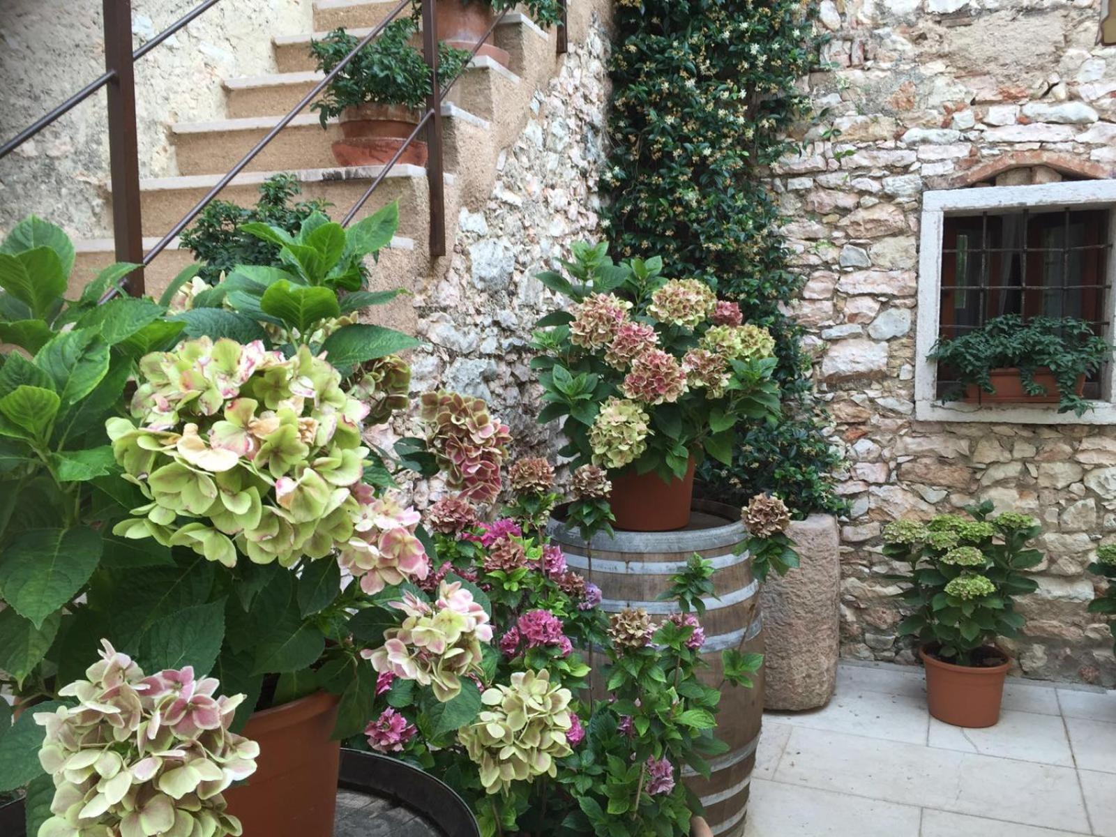 Agriturismo Ca' Verde SantʼAmbrogio di Valpolicella Kültér fotó