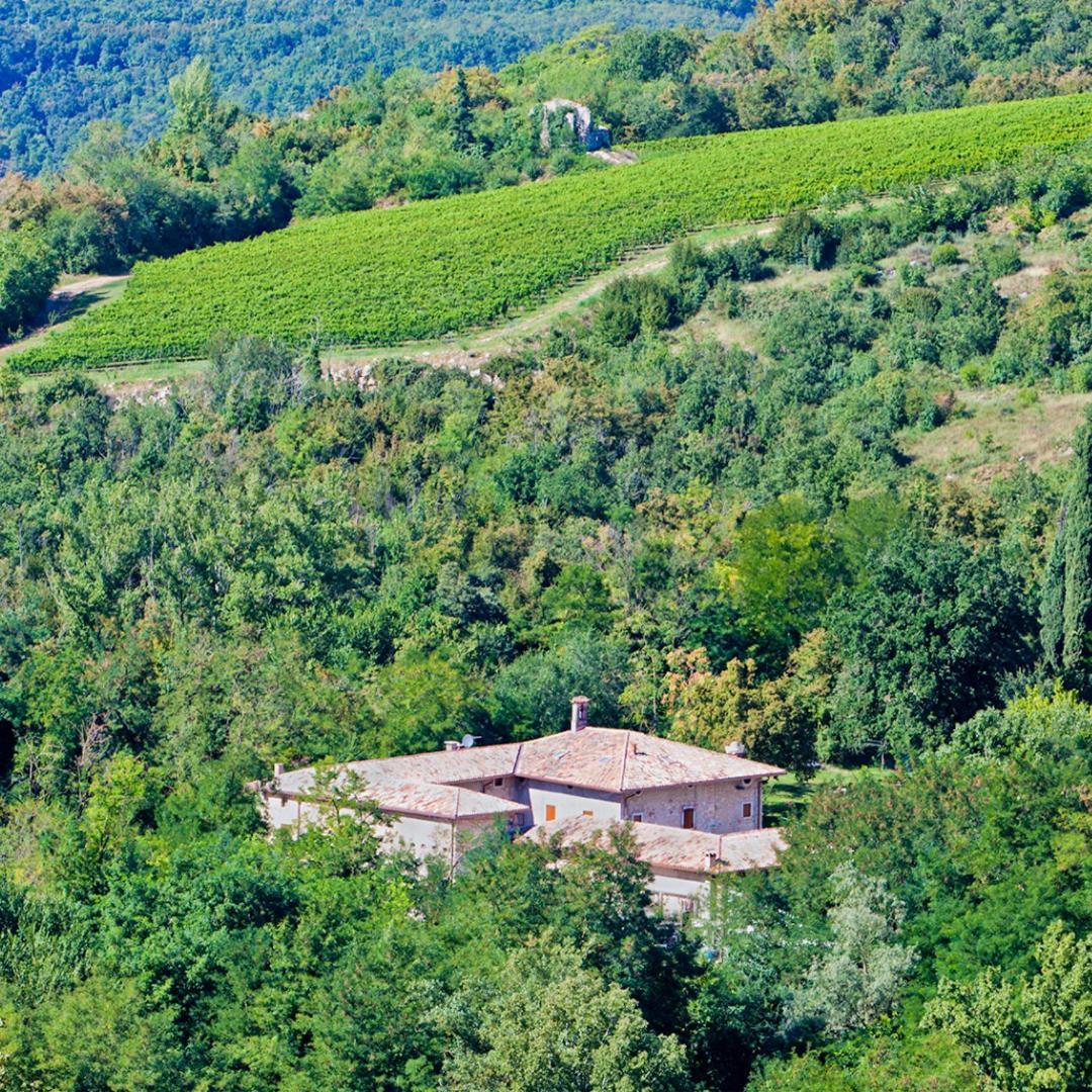 Agriturismo Ca' Verde SantʼAmbrogio di Valpolicella Kültér fotó